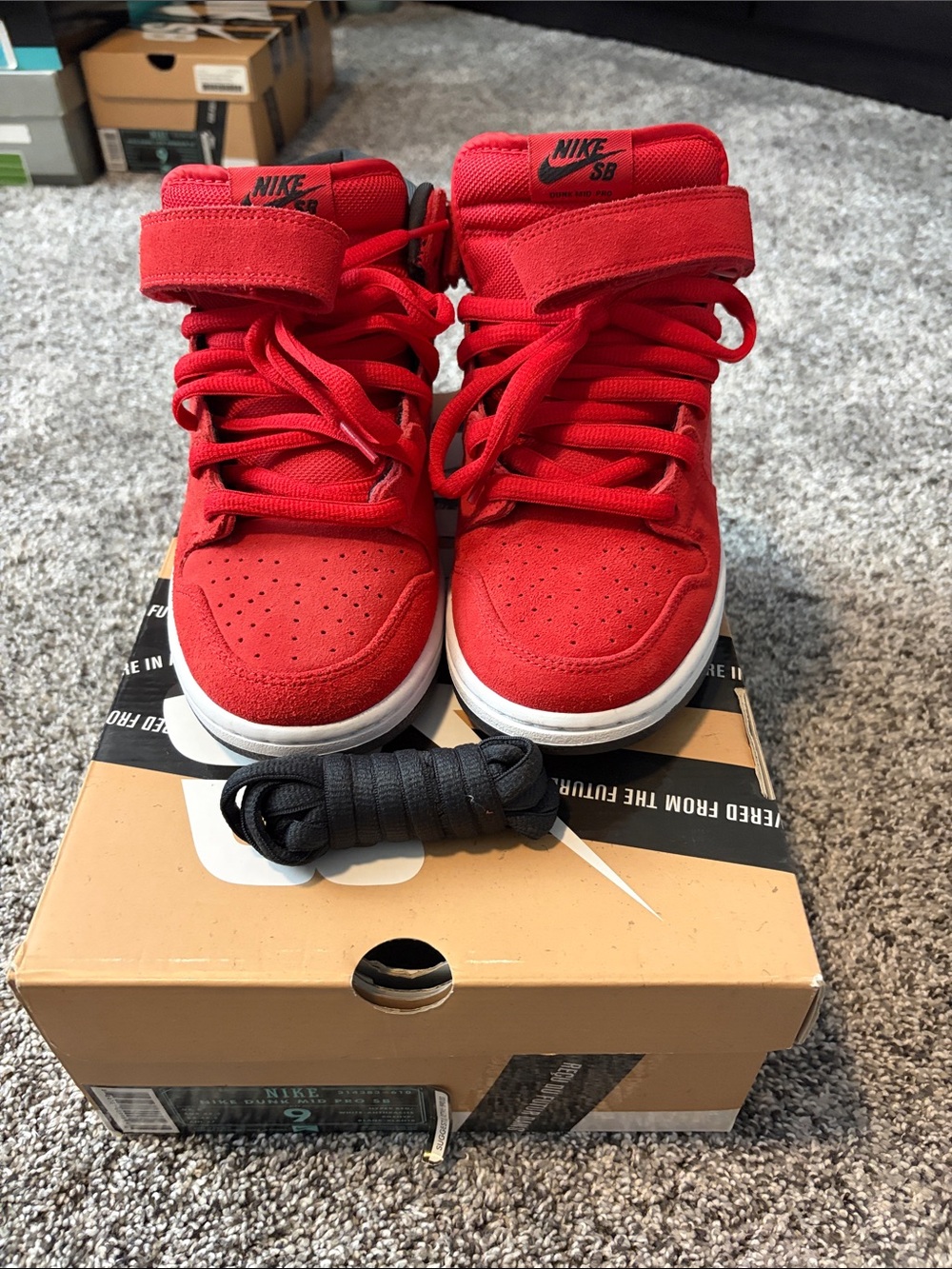 Nike SB Dunk Mid Pro
